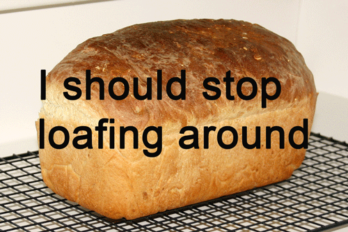 Funny Quotes About Bread Bread Puns Punpedia