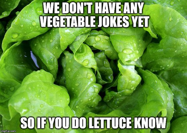 lettuce – Punpedia