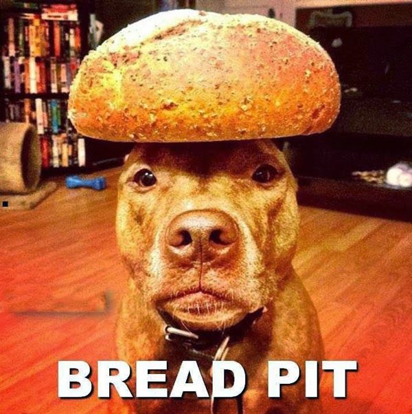 funny-bread-pit-01.jpg