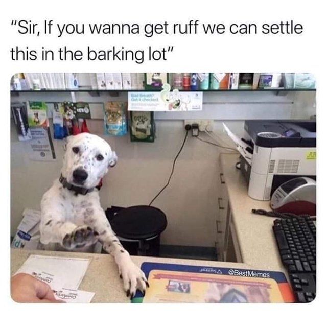 dog pun